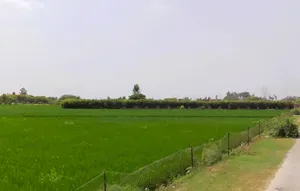Batta, Haryana 136117, India preview 2