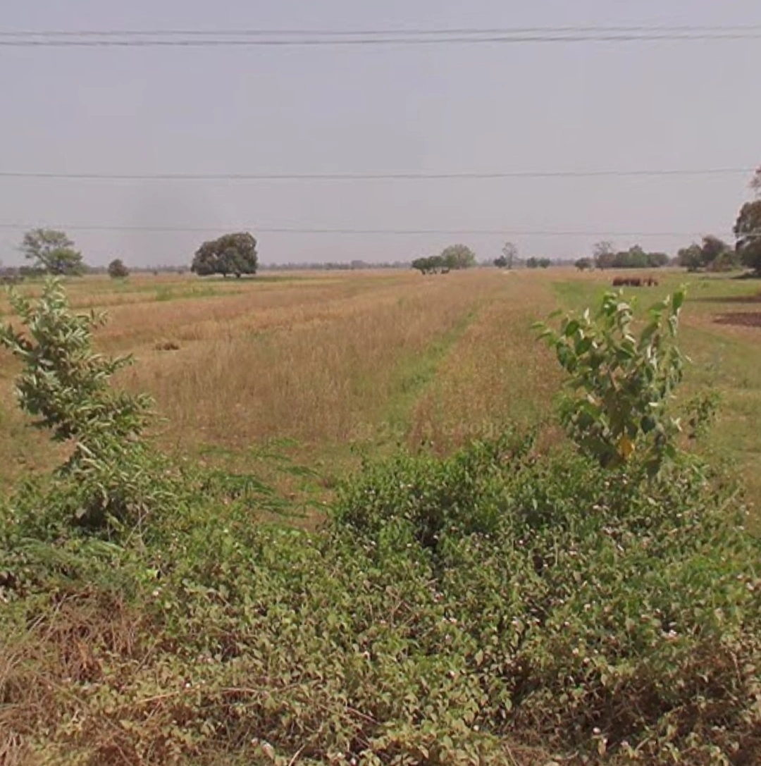 Maner, Bihar 801108, India