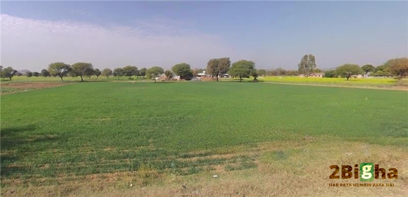 Moodiya, Rajasthan 321028, India