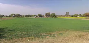 Moodiya, Rajasthan 321028, India preview 2