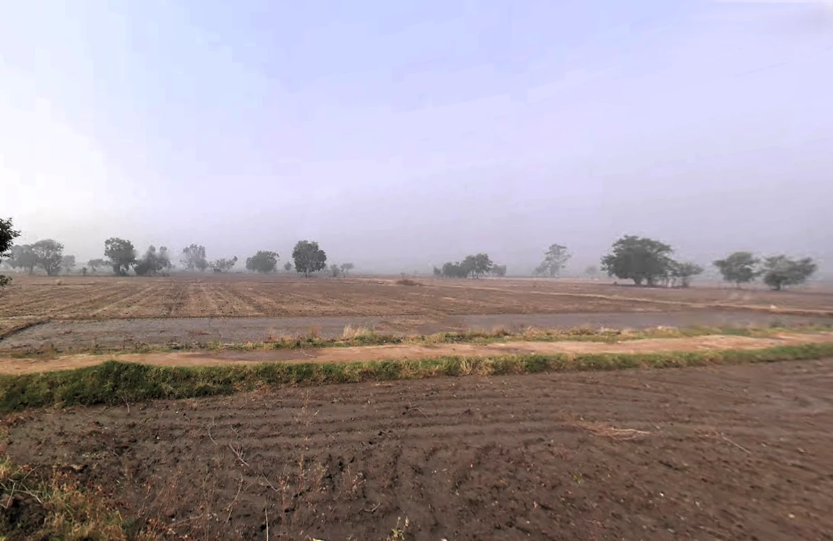 Sampla, Haryana 124501, India