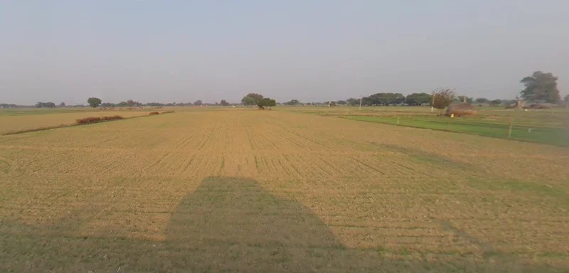 Bhanipura, Rajasthan 331411, India preview 3