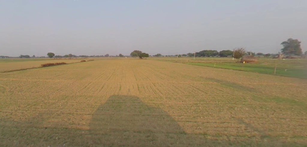 Bhanipura, Rajasthan 331411, India