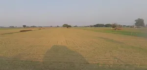 Bhanipura, Rajasthan 331411, India preview 3