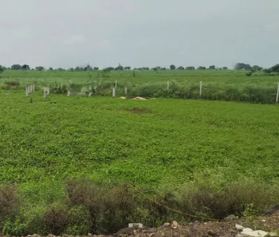 Thelkadih Rd, Chhattisgarh, India preview 3