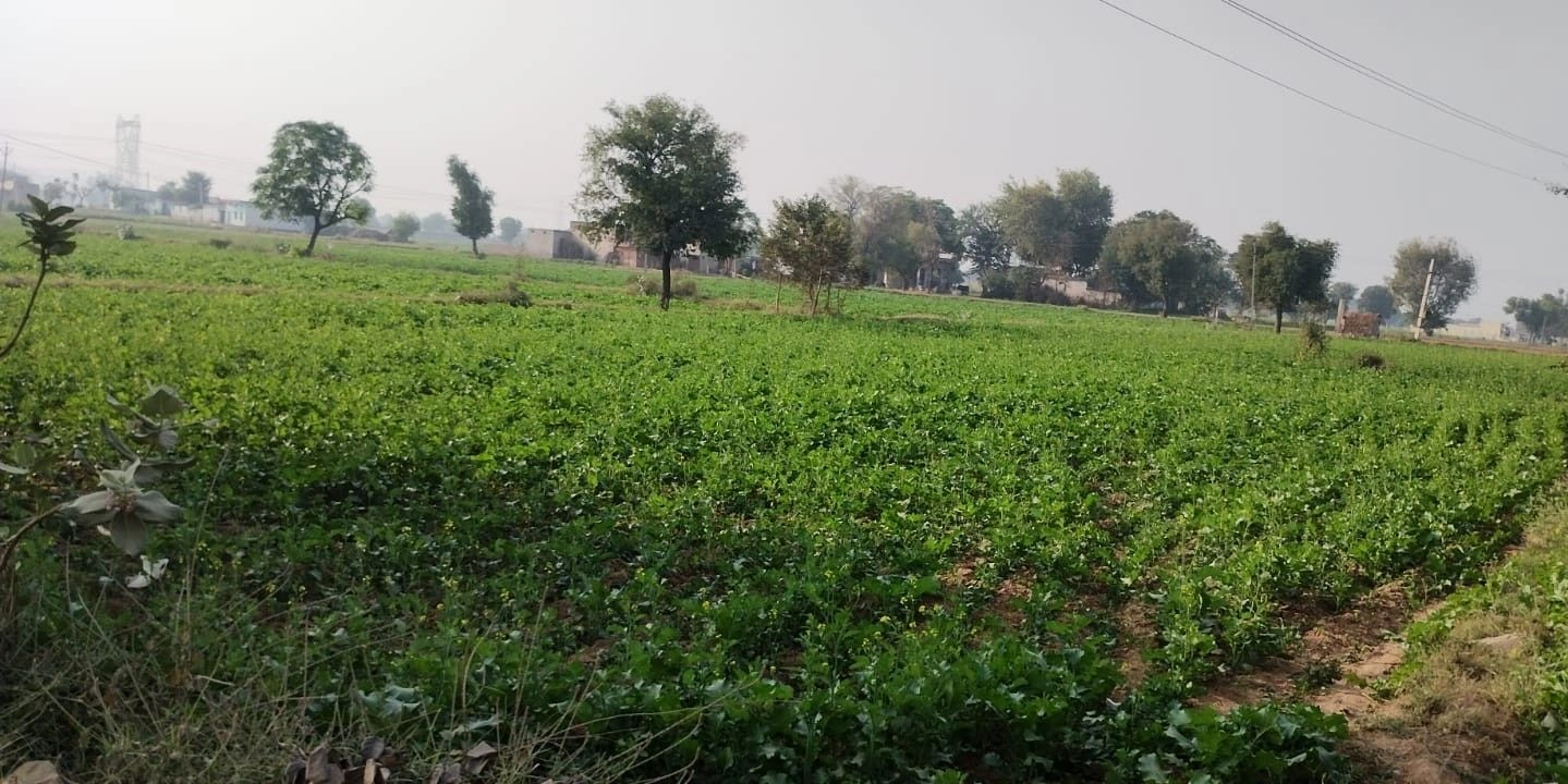 Jatiyana, Rajasthan, India