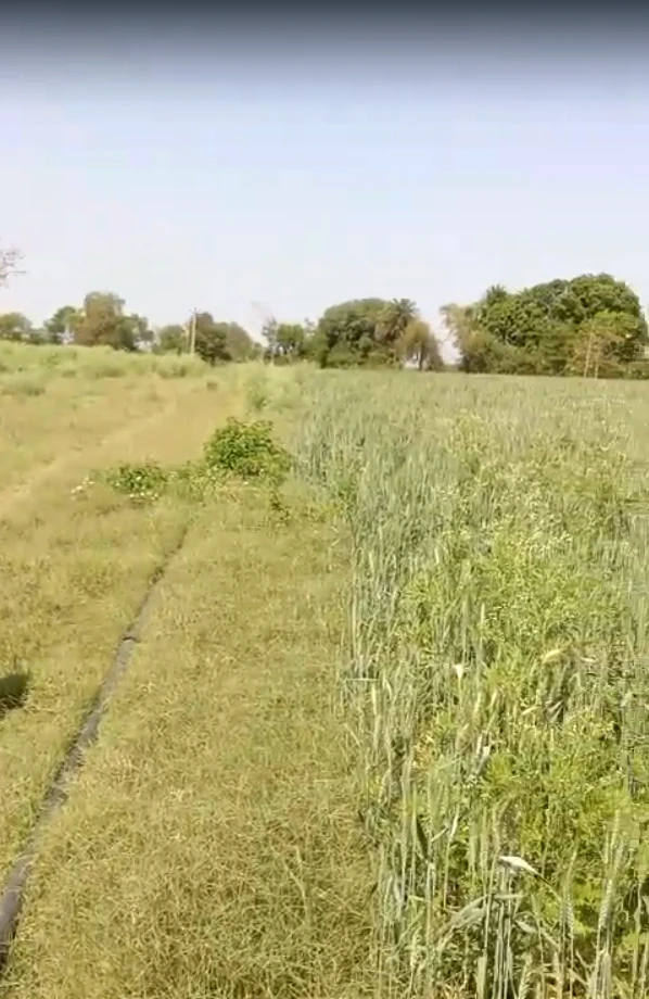 P323+MW2, Vallabhnagar, Banjari, Rajasthan 313601, India