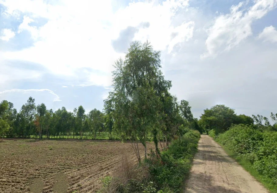 Faridpur, Uttar Pradesh 243503, India