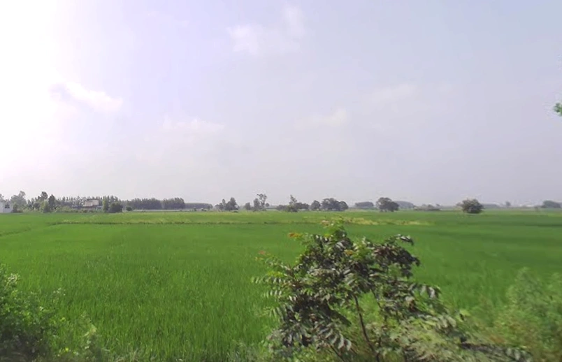 Janipur, Uttar Pradesh 247129, India