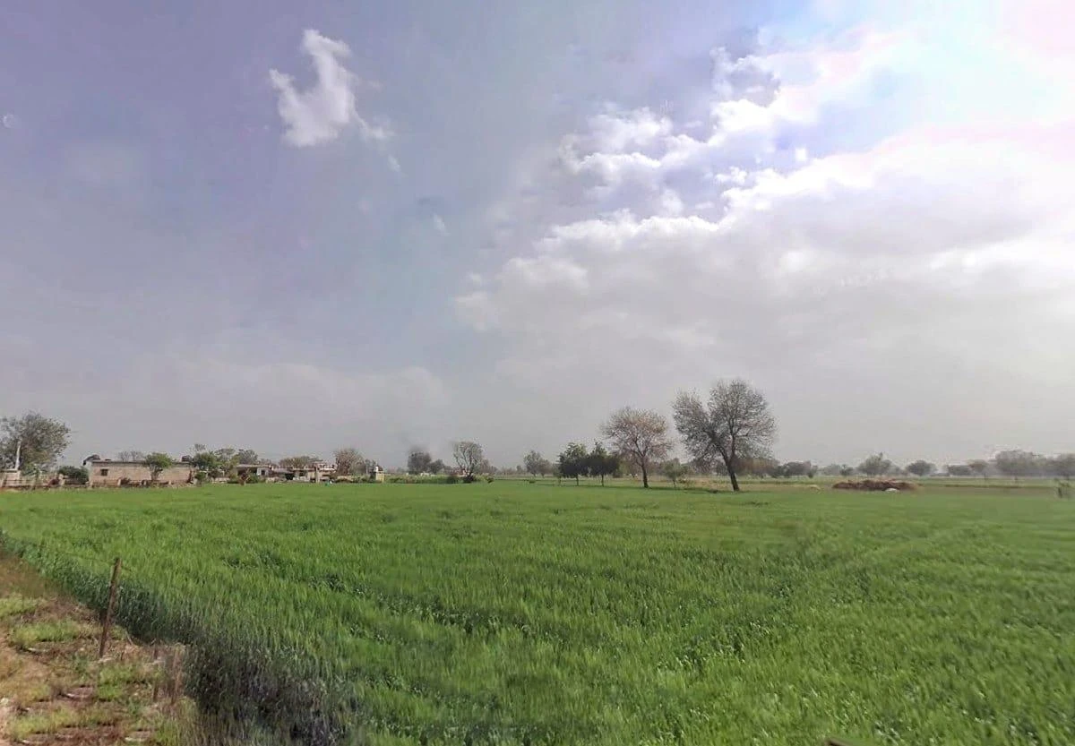 CJCF+2VX, Main Rd, Kalsara, Rajasthan 301406, India