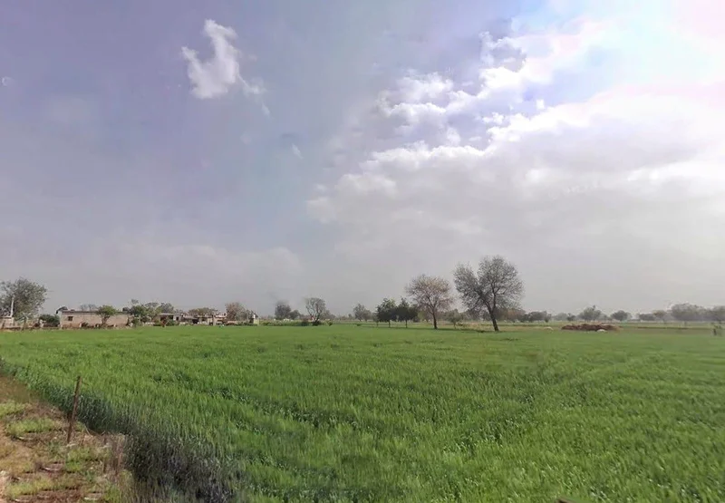 CJCF+2VX, Main Rd, Kalsara, Rajasthan 301406, India preview 3