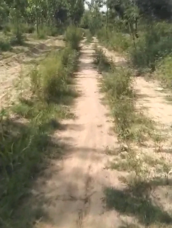 Nurpur Bedi, Punjab 140117, India
