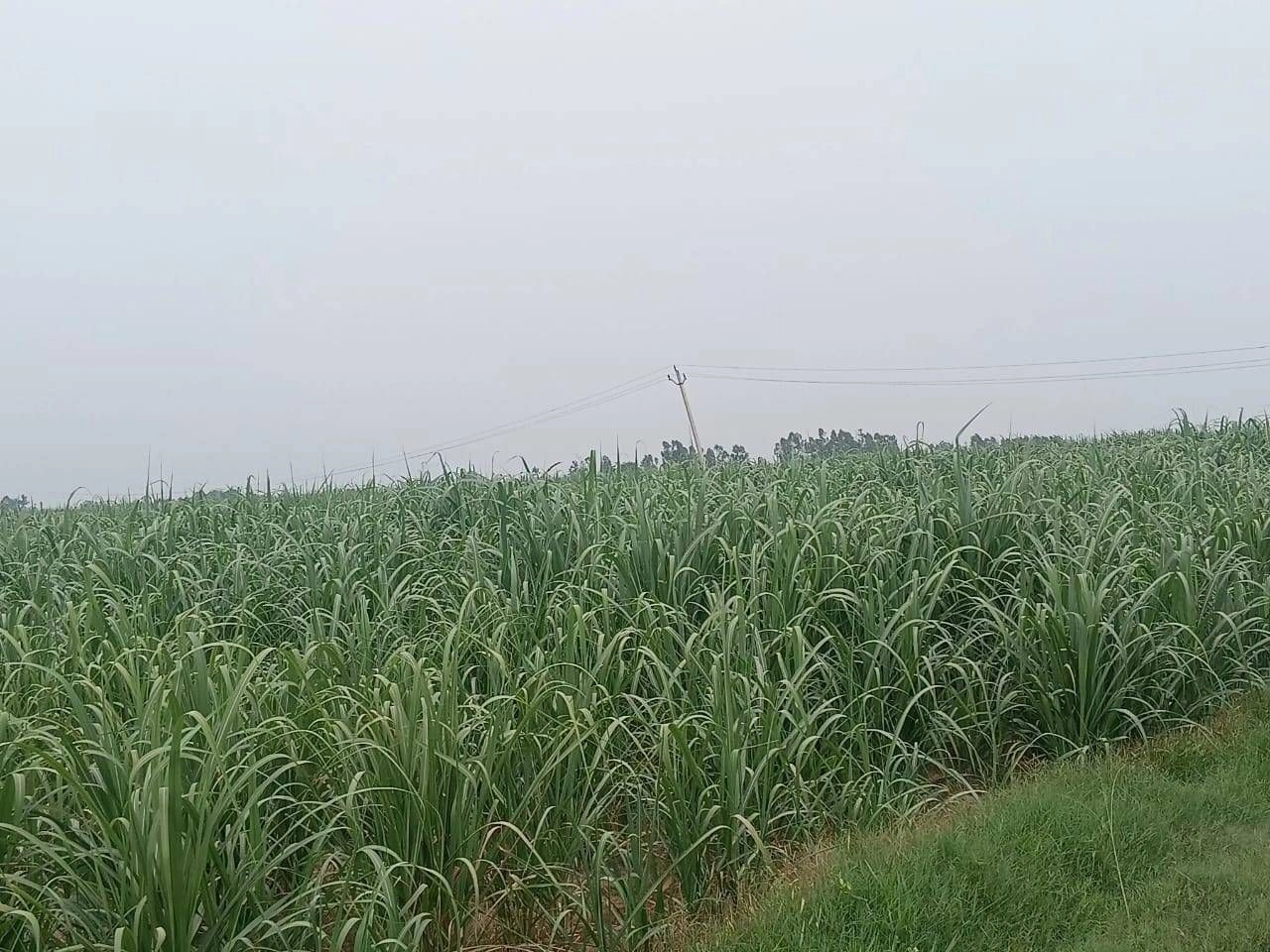 580, Jalilpur, Uttar Pradesh 246725, India