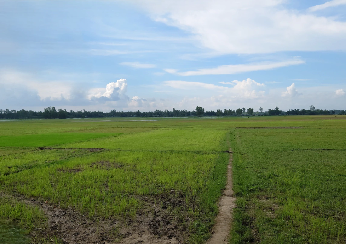 RH6Q+7HV, Nai Sarai, Amkheda Nai Saray, Madhya Pradesh 473332, India