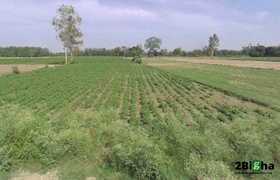 Q2XF+9CC, Shahabad Gate Rd, Mohsin -E- Azam Colony, Civil Lines, Rampur, Uttar Pradesh 244901, India