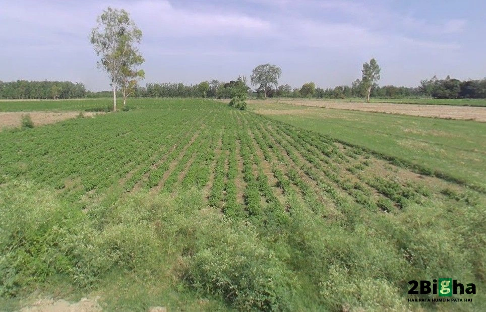 Q2XF+9CC, Shahabad Gate Rd, Mohsin -E- Azam Colony, Civil Lines, Rampur, Uttar Pradesh 244901, India