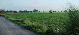 Helak, Rajasthan, India preview 2