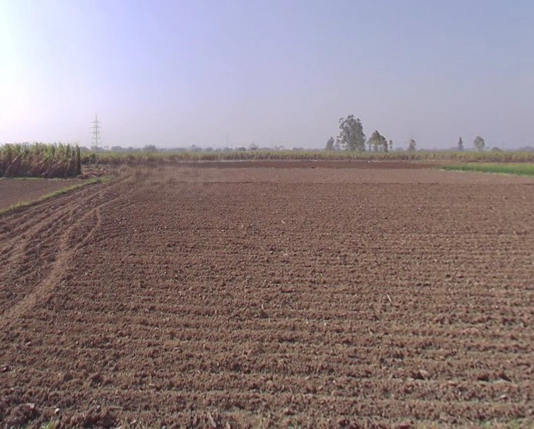Mawana-Kithaur-Hapur Marg, Kithaur, Uttar Pradesh, India