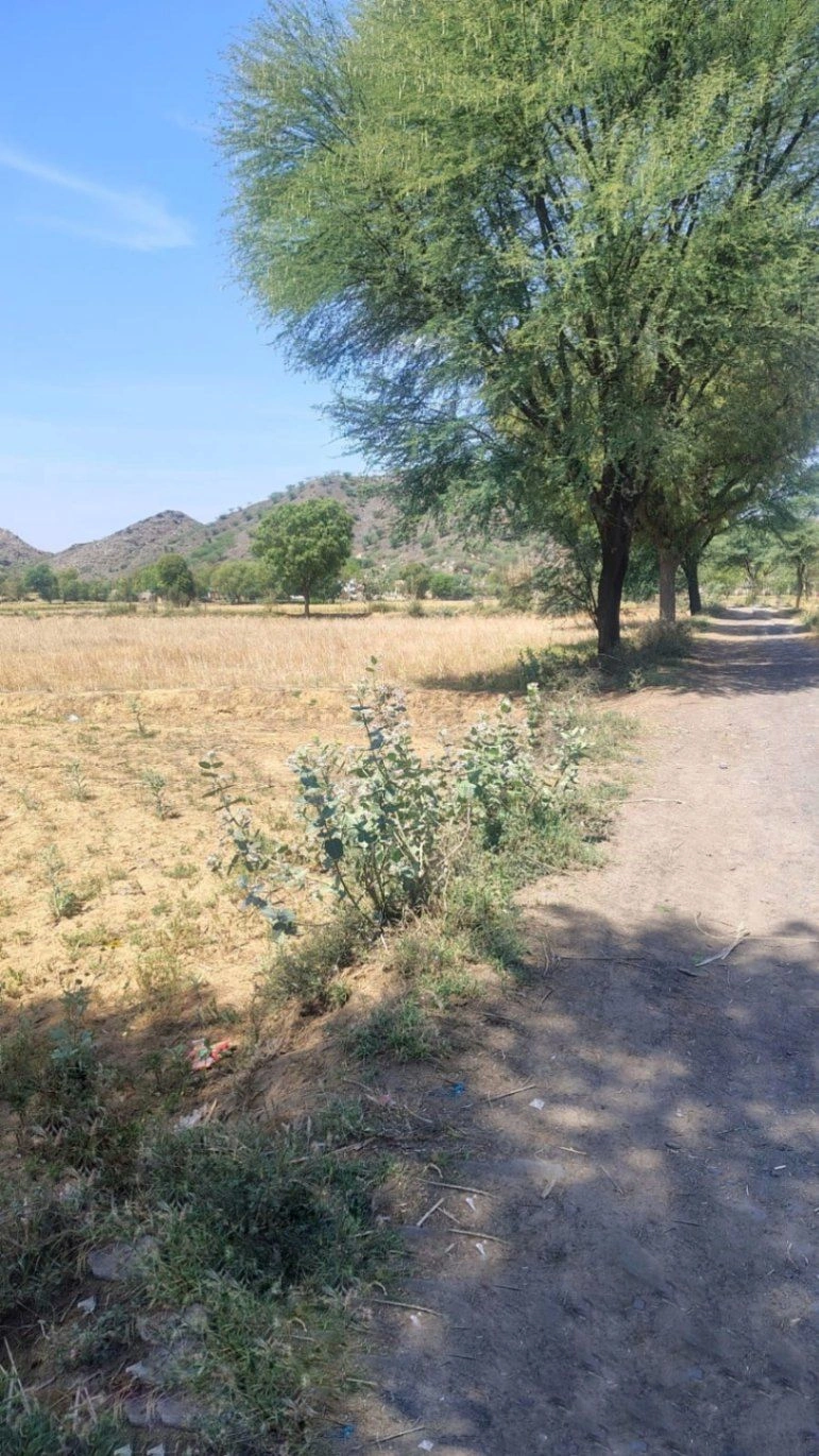 Berla, Rajasthan 321633, India preview 3