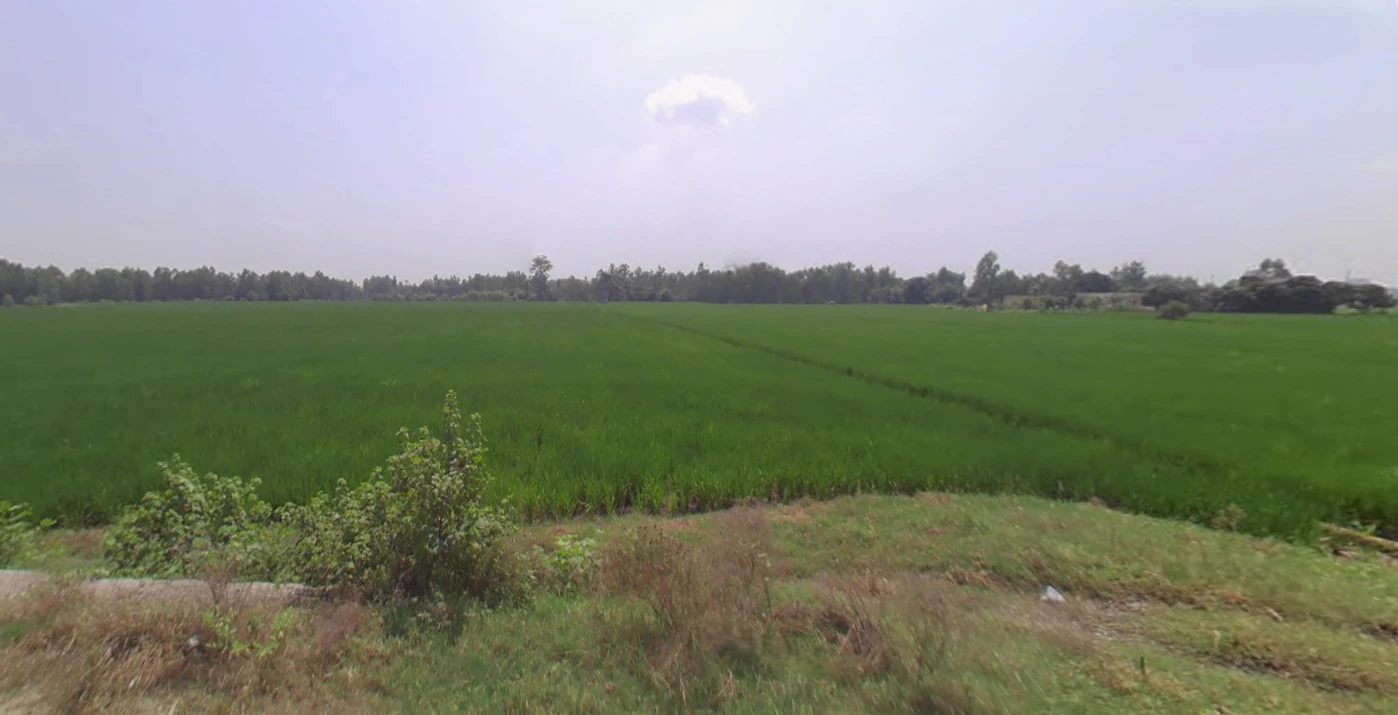 Dhampur, Uttar Pradesh 246761, India