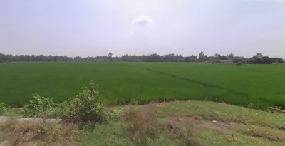 Dhampur, Uttar Pradesh 246761, India preview 3