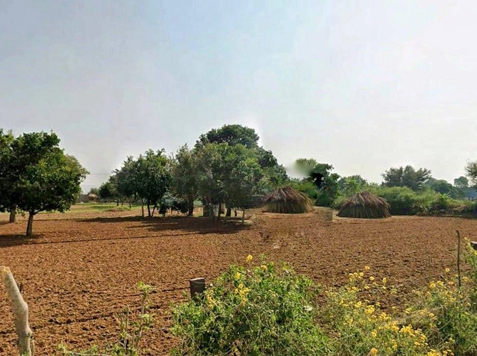 M763+3P Singhasan, Rajasthan, India