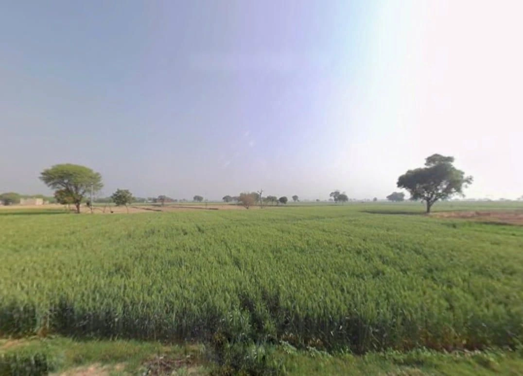 HW9P+MP3, Sahejpur, Rajasthan 301026, India