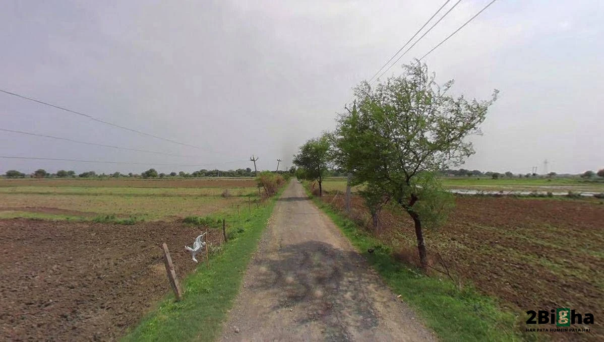 Jharli, Haryana 124106, India