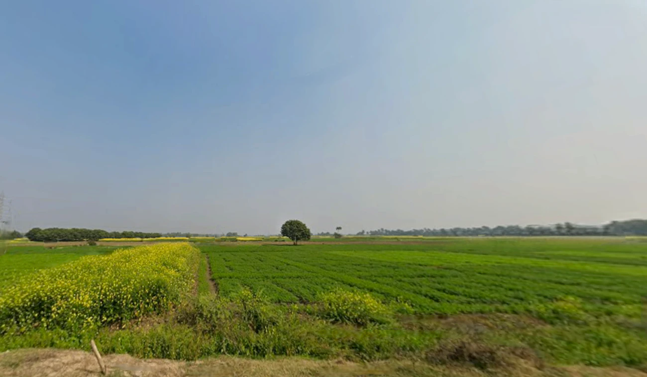 Kalyani Highway, Nimta, North Dumdum, West Bengal 700049