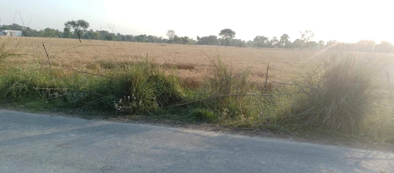 Barnagar, Madhya Pradesh 456771, India