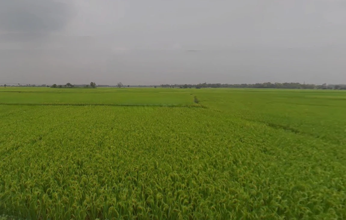 Anara, West Bengal 722134, India