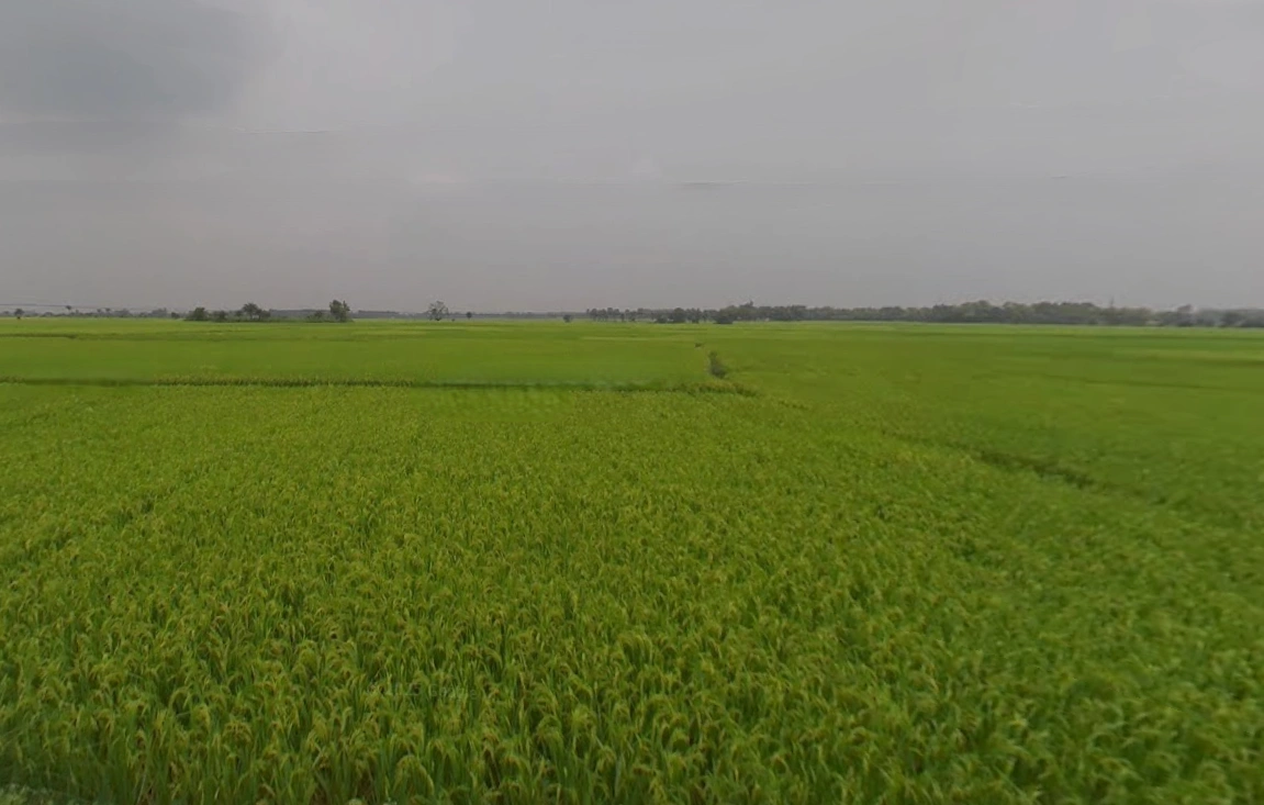 Anara, West Bengal 722134, India