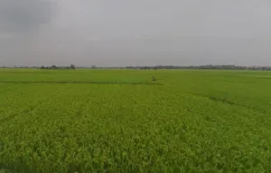 Anara, West Bengal 722134, India preview 2