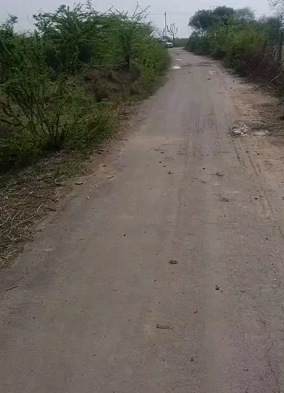 W7J7+47 Barh Chandrana, Rajasthan, India