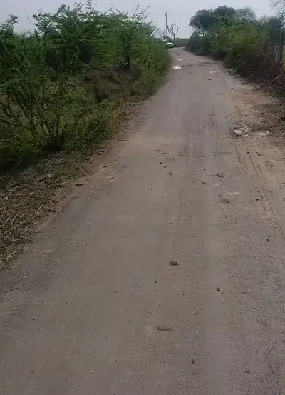 W7J7+47 Barh Chandrana, Rajasthan, India preview 2