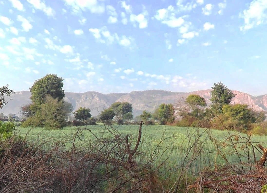 HF5F+2R8, Rundh Binak, Rajasthan 301001, India