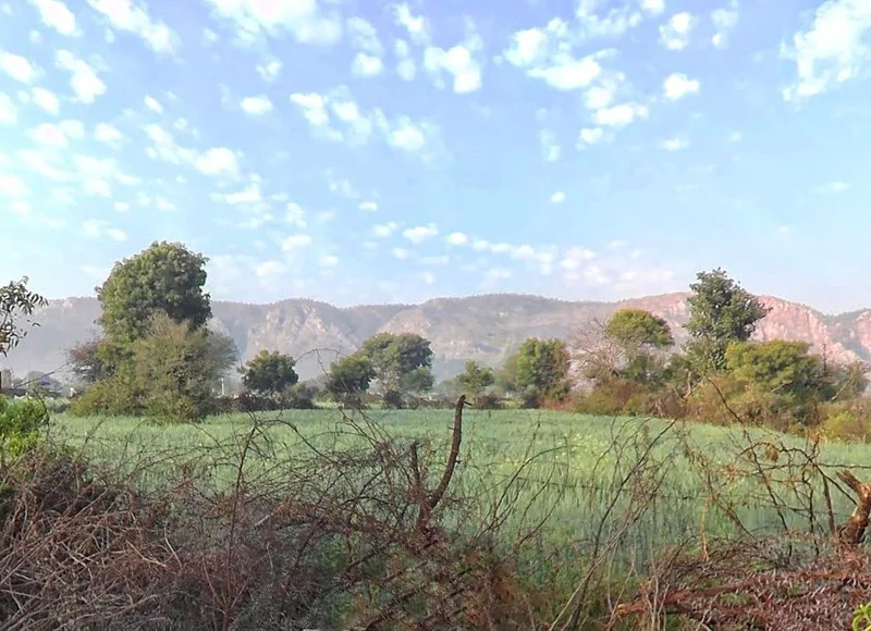 HF5F+2R8, Rundh Binak, Rajasthan 301001, India preview 3