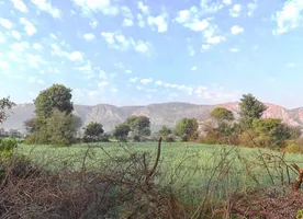 HF5F+2R8, Rundh Binak, Rajasthan 301001, India preview 3