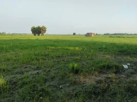 Pilibhit, Uttar Pradesh 262001, India preview 3