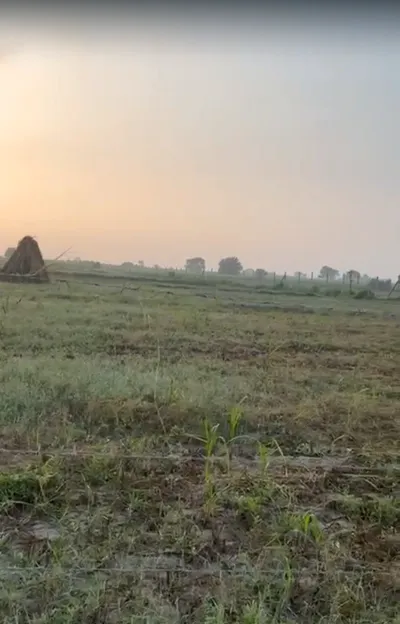 Banchari, Haryana, India preview 3