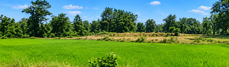 Naktideul, Sambalpur, Odisha, India - Photo 1