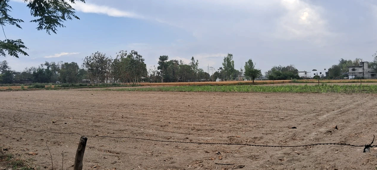 Barnagar, Madhya Pradesh 456771, India