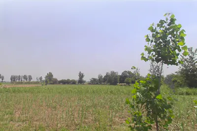 Chandner, Uttar Pradesh, India preview 2
