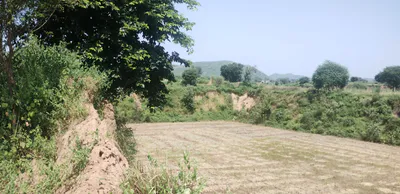 Seona, Patiala, Punjab 147006, India preview 3
