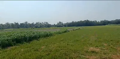 R79H+CH2, Googolao, Rajasthan 303303, India preview 2