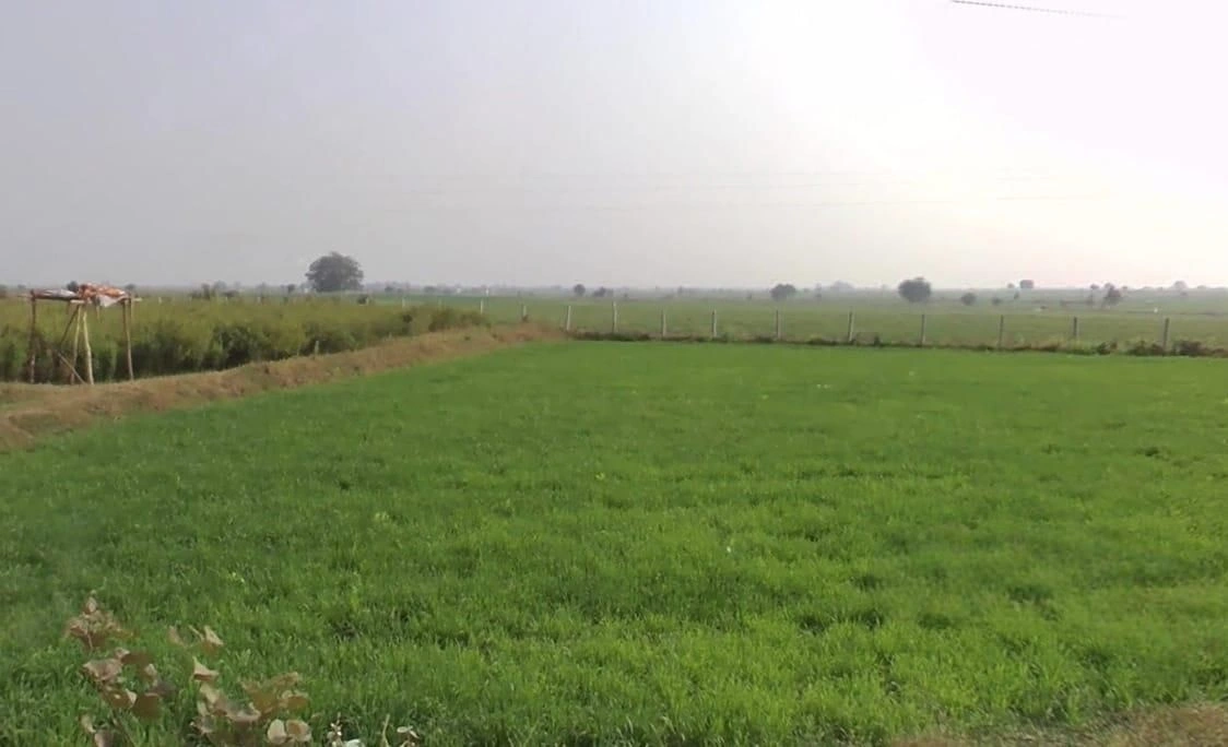 Jasalpur, Madhya Pradesh 461001, India