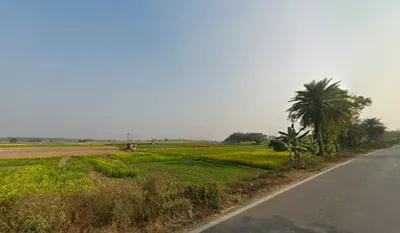 MCW9+H8V, Sodepur Rd, Kushari Abasan, Anandanagar, Jugberia, Kolkata, Muragachha, West Bengal 700110, India preview 3