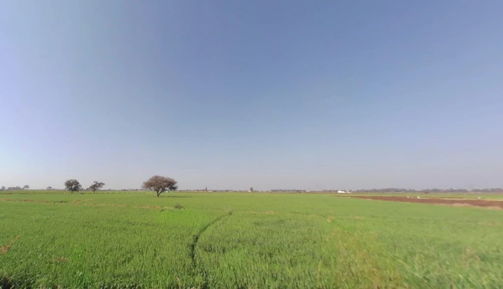 Old Talav Road, Jhajjar, Haryana 124103, India