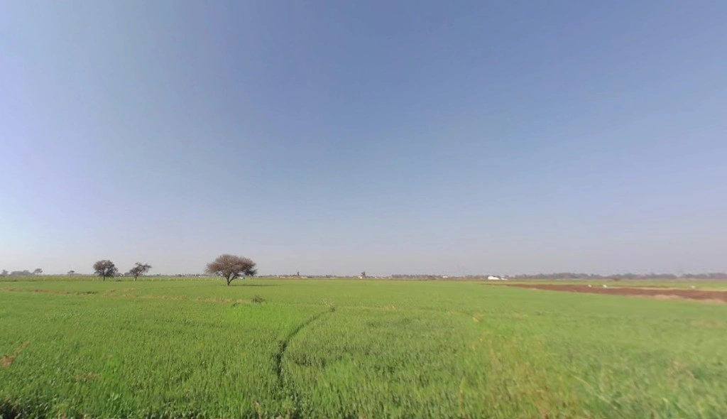 Old Talav Road, Jhajjar, Haryana 124103, India
