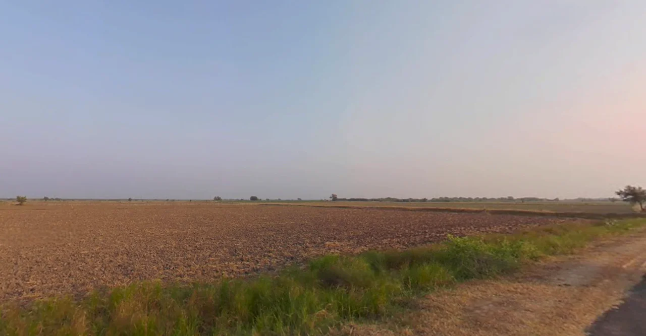 Bamanva, Gujarat 388580, India preview 2